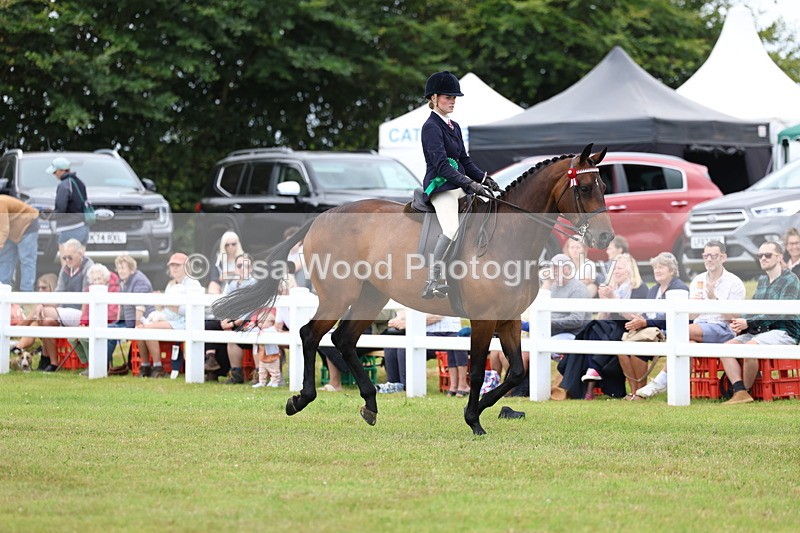 3E7A1303 - Class 8: Open Riding Horse/Hack