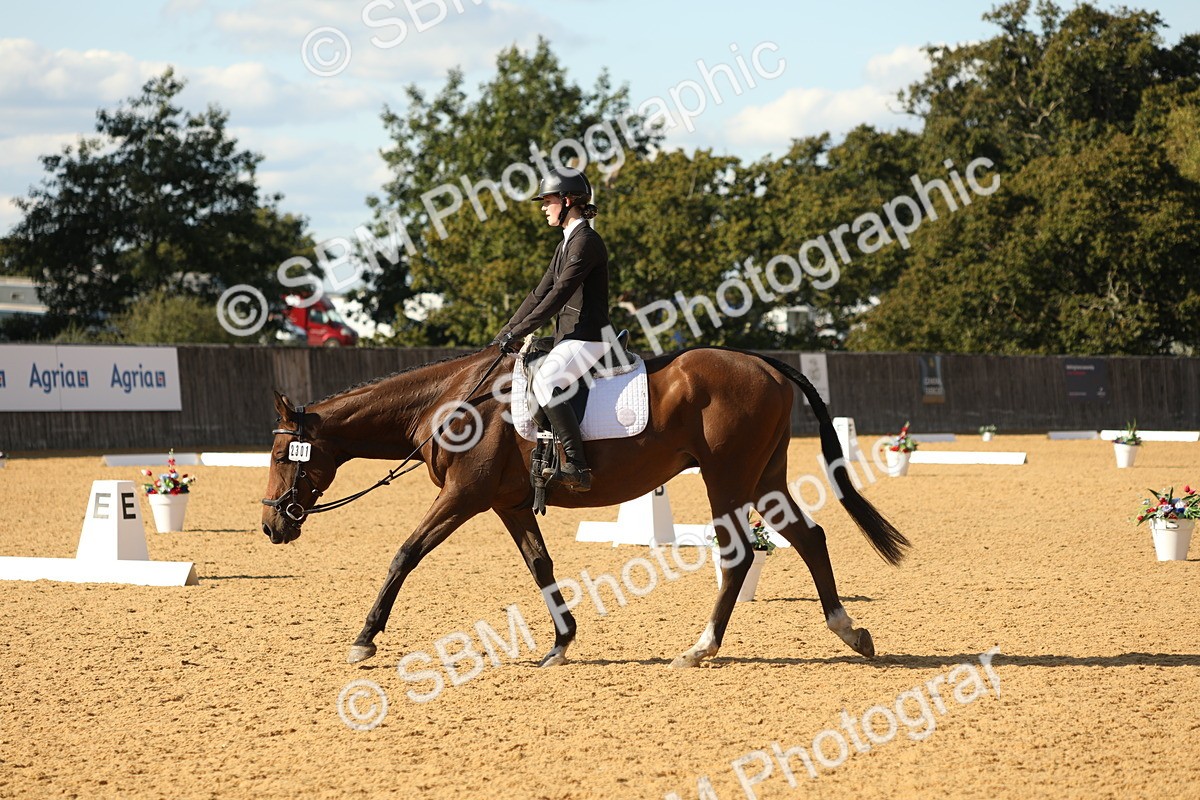 SBM_26809 - D17 - Grand Tour Championship - Novice 27