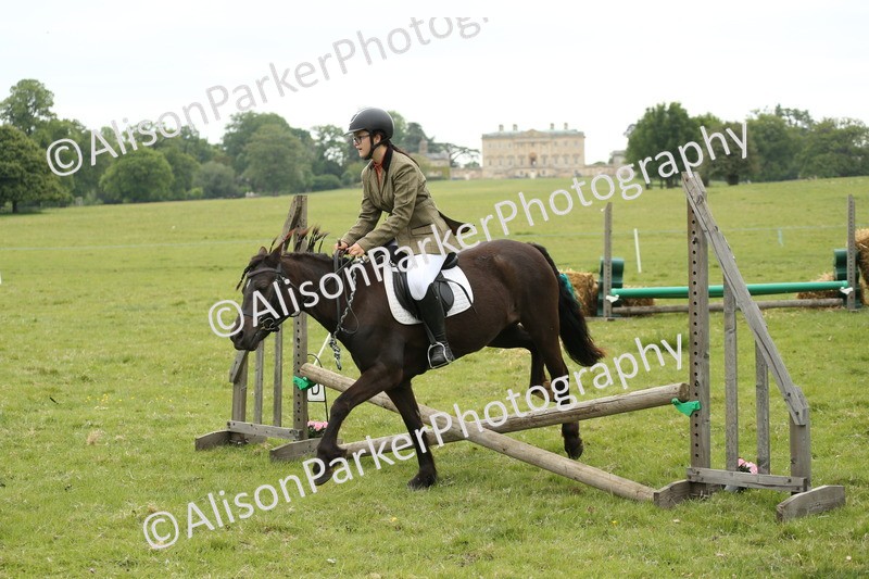 20250517-1013 - Class 21 - Novice Working Hunter