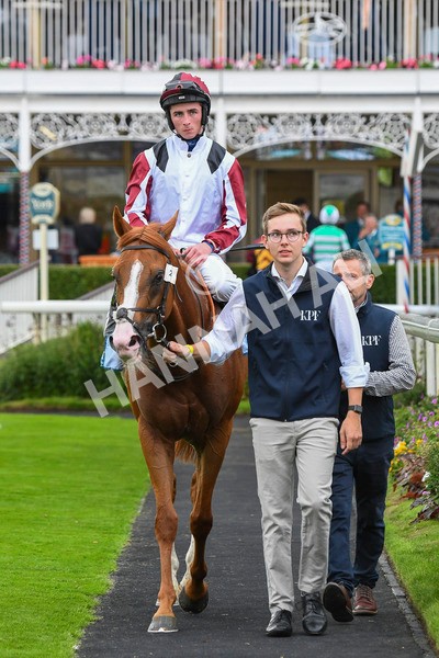 280723-Race 4-Cairn Gorm-0465 - Race 4 6.40pm Tomahawk Restaurants Handicap