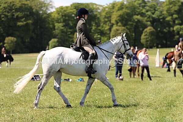 IMG_3564 - Working Hunter