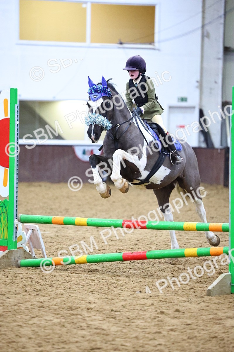 SBM_001249 - Class 3 - Christmas Tree Stakes - 60cm