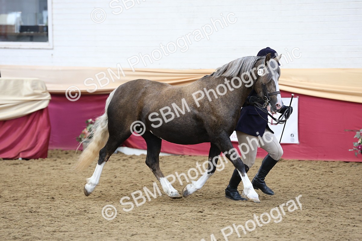 SBM_24087 - Class 905 - Supreme Final - Ridden Veteran