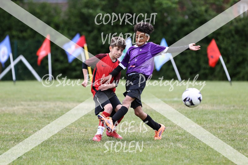 1DX30801 - Brook Field V Goddard Park
