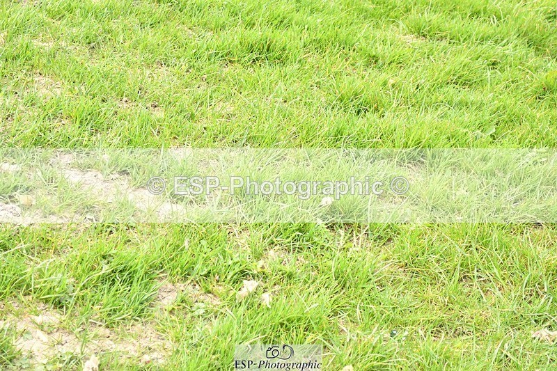 250329-134600-04948 - Cls 23 95cm National Amateur Quali