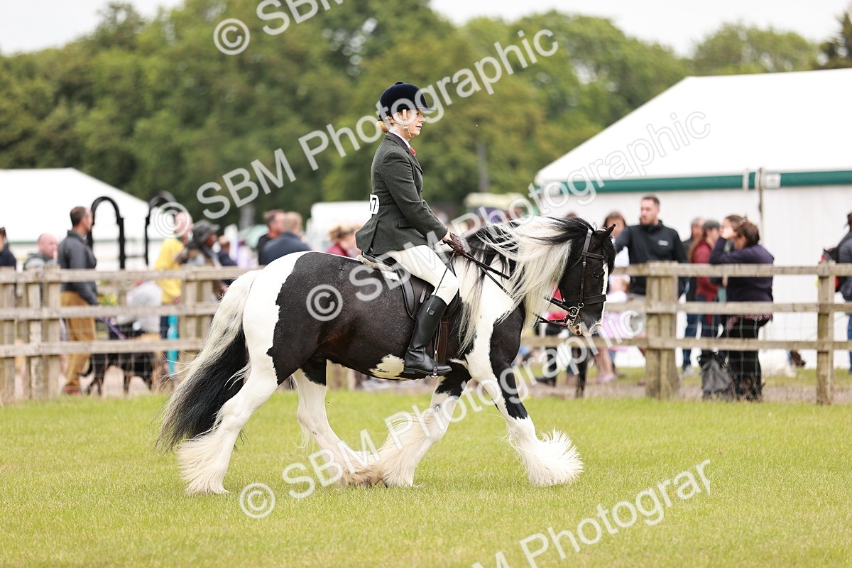 SBM_06172 - Class 39-41 TGCA In Hand and Ridden