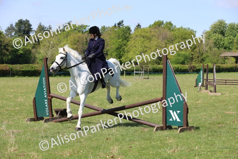 20250427-2540 - Class 20 - Working Hunter Ponies
