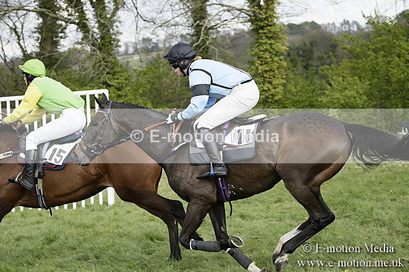PtP 170417 336 - Old Berks Point-to-Point Lockinge 17/04/17