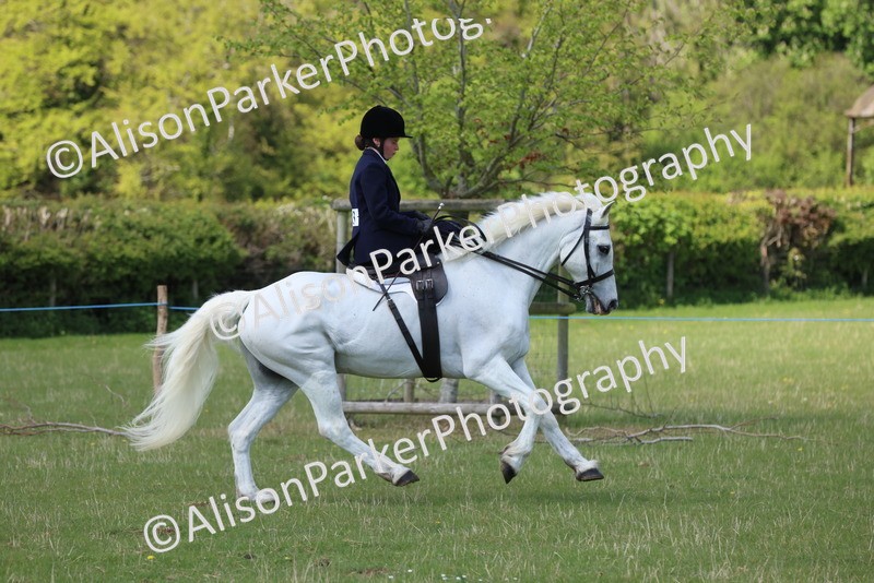 20250427-2649 - Class 20 - Working Hunter Ponies