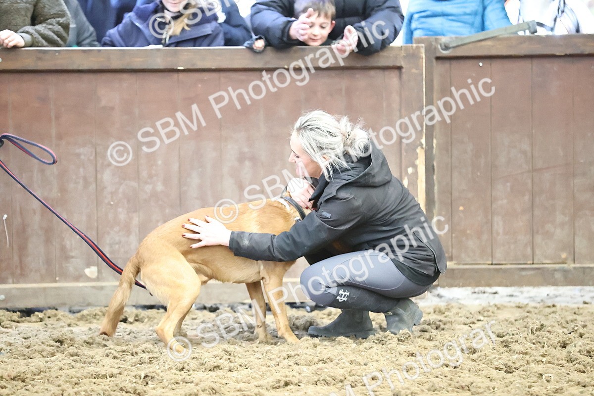 SBM_001378 - Class 3 - Horse & Hound 60cm