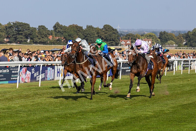 310824-Race 5-Bassadanza-1806 - Race 5