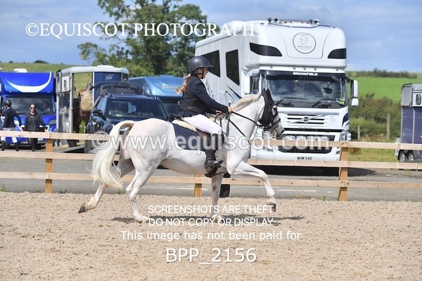 BPP_2156 - DERBY CLASS 6 - 70CM