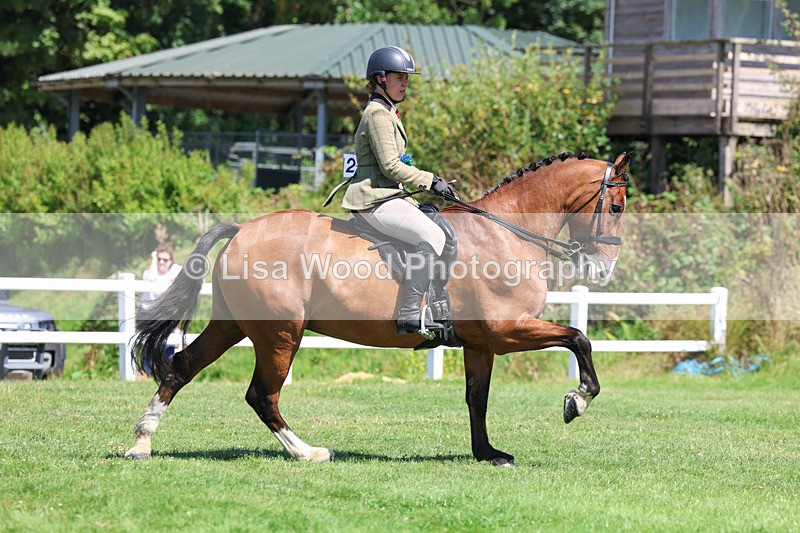 3E7A9158 - Working Hunter Championship