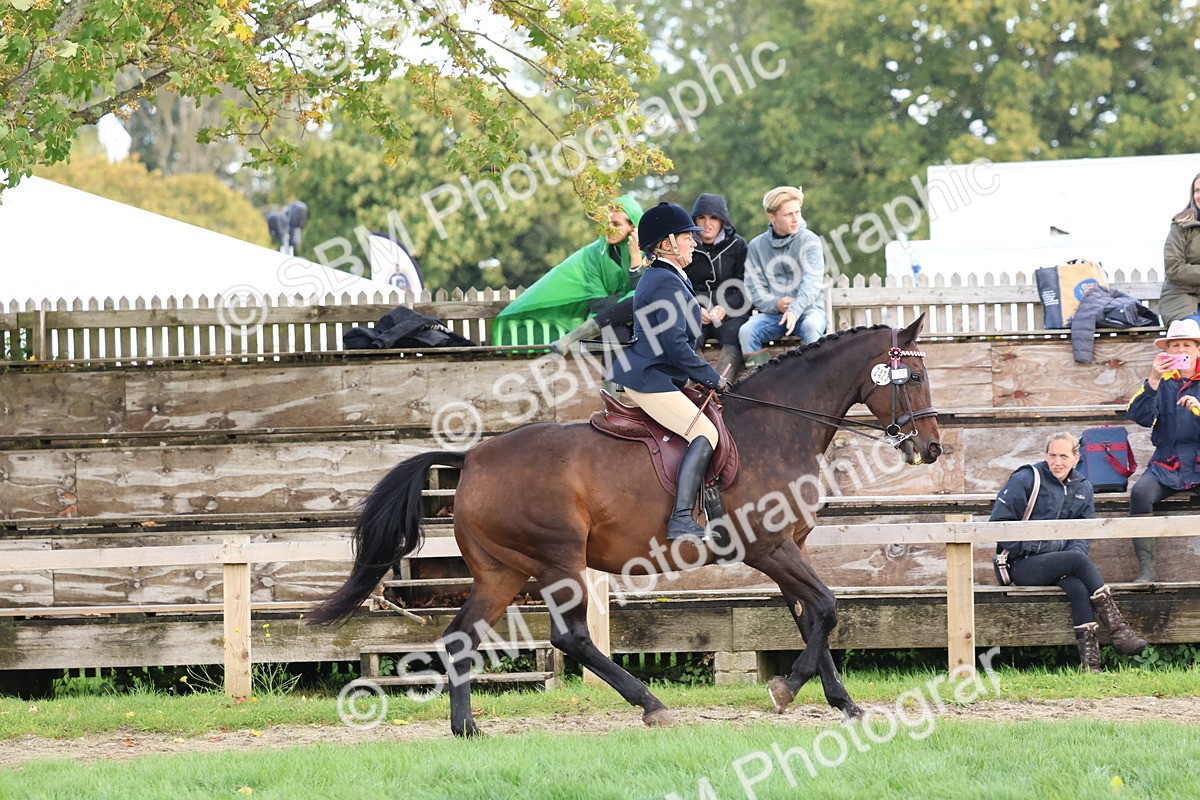 SBM_47650 - S28 - Veteran Ridden