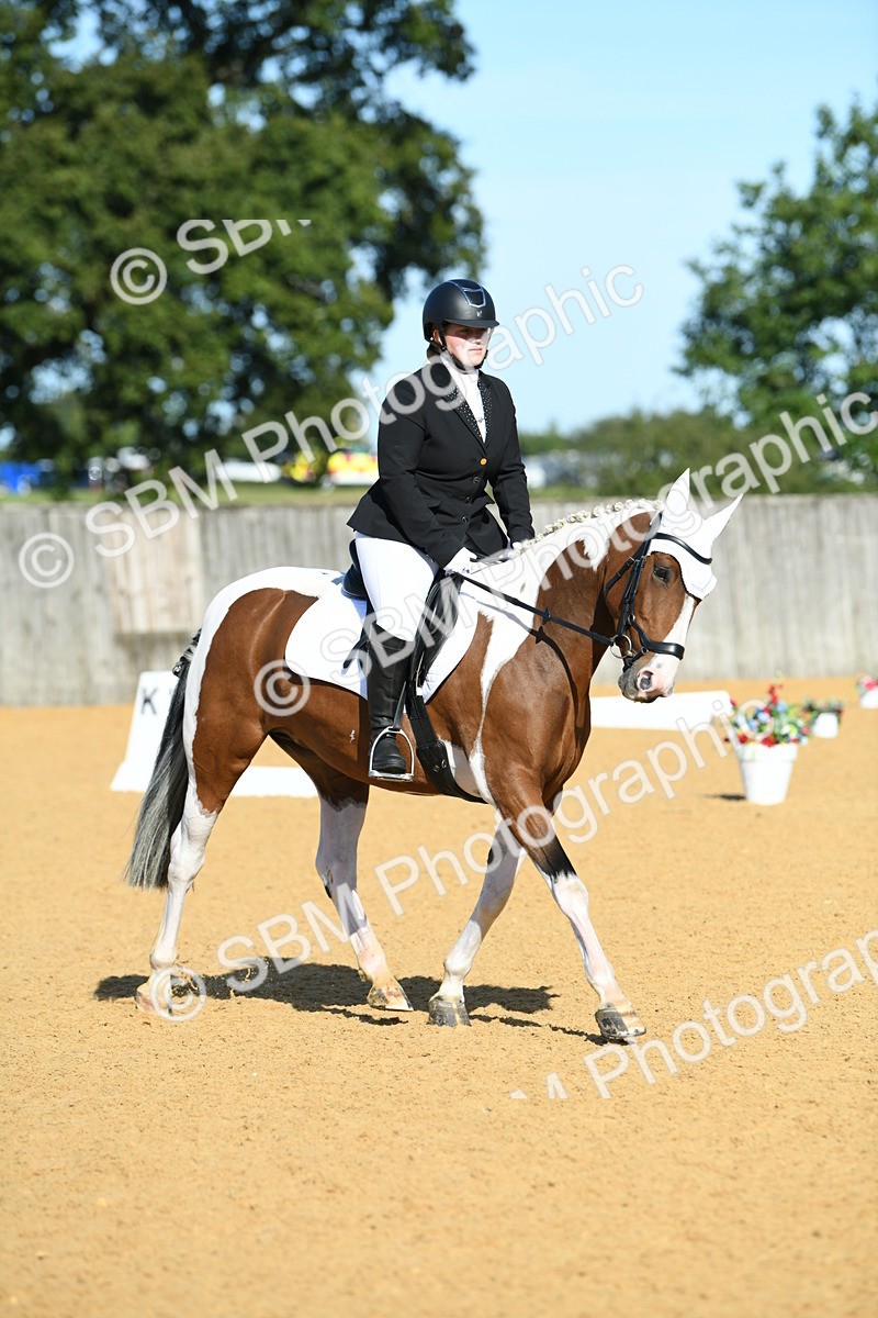 SBM_17903 - D4 - Small Tour Championship - Intro B