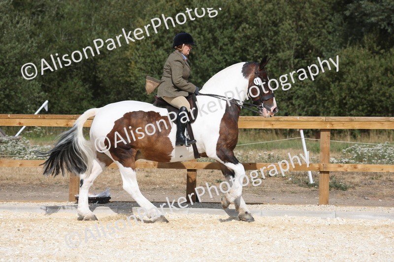 20260802-0437 - Class 6 - Veteran Ridden