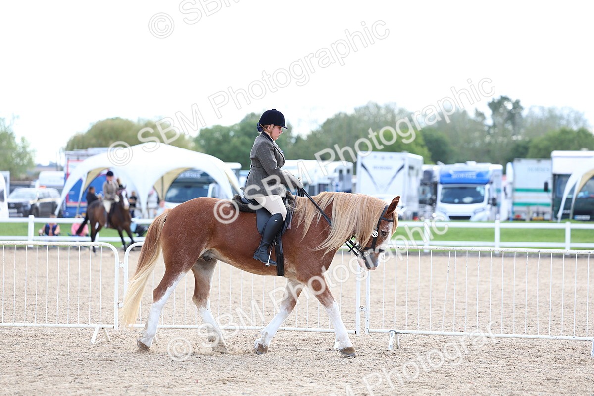 SBM_17091 - Class 315 - Best Horse - Rider Combination
