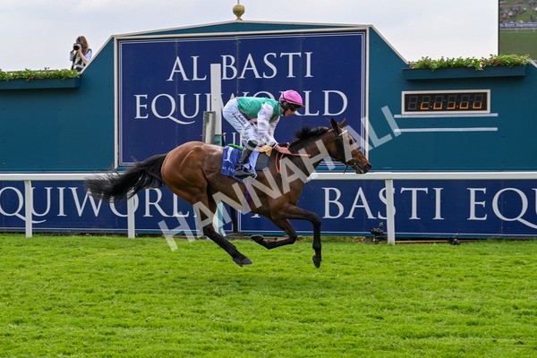 160524-Race 3-Bluestocking-5673 - Race 3 3.15pm  Al Basti Equiworld Dubai Middleton Fillies' Stakes