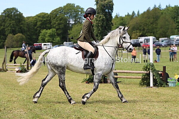IMG_3422 - Working Hunter