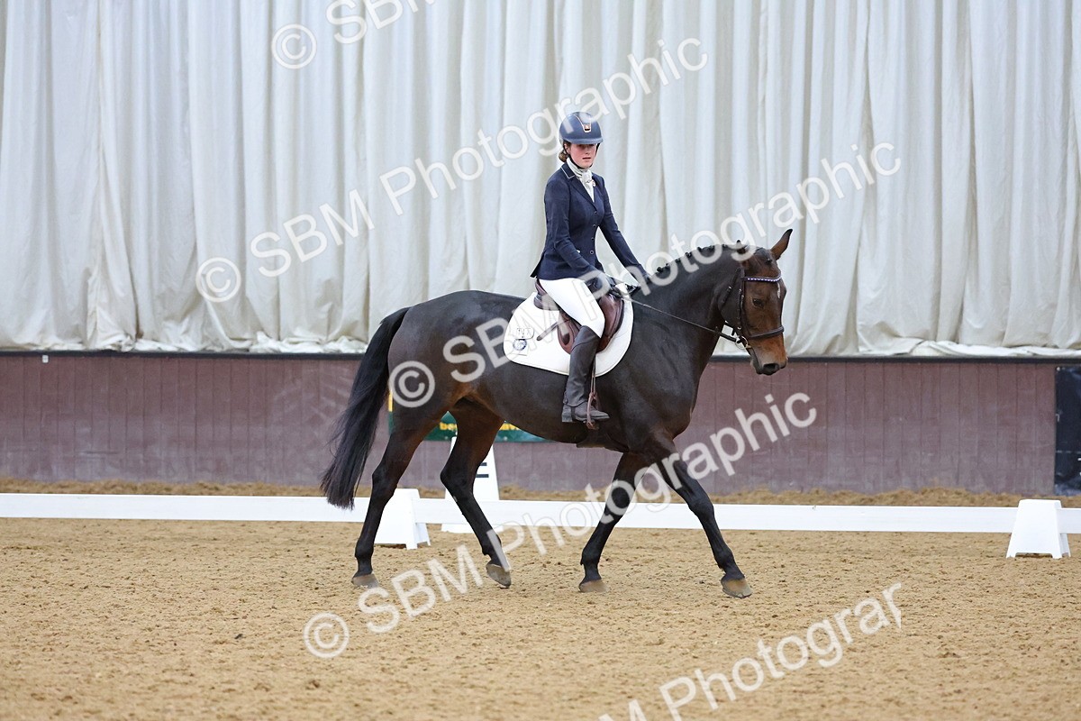 SBM_004221 - Intermediate