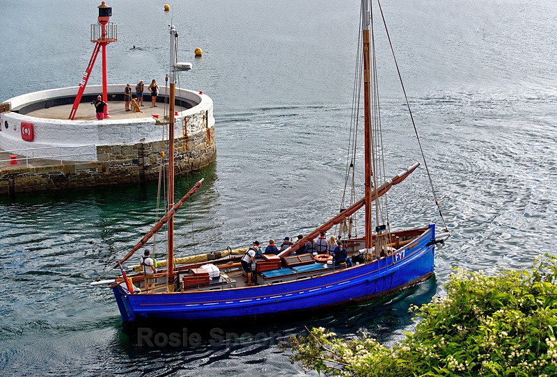  - Looe Lugger Regatta photos