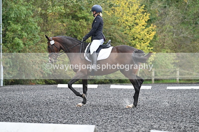 WJ7_3819 - Time 11:04 to 11:38