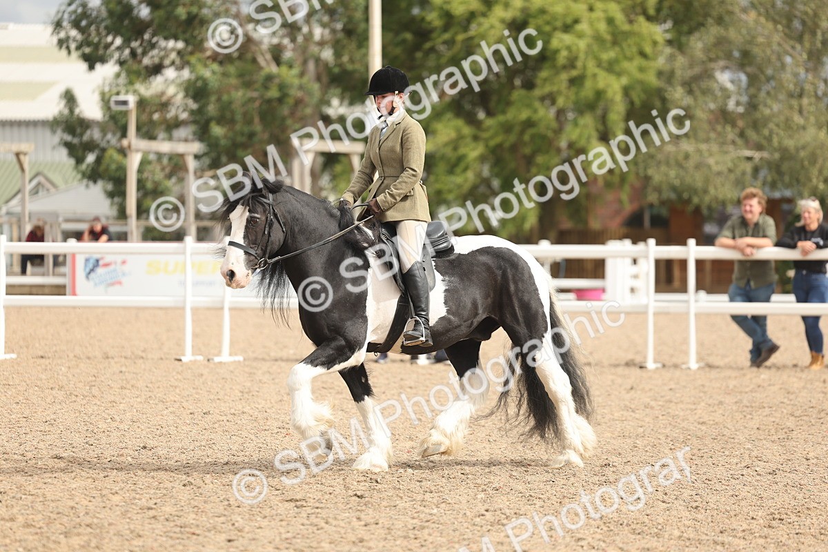 SBM_18014 - Class 314 - Family Horse Pony