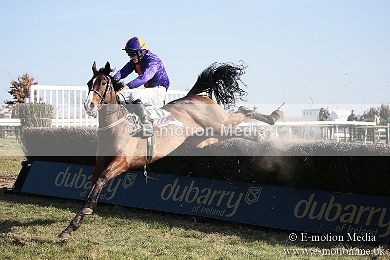 PtP 240218 369 - Vine & Craven Hunt Point-to-Point Barbury racecourse 24/02/18