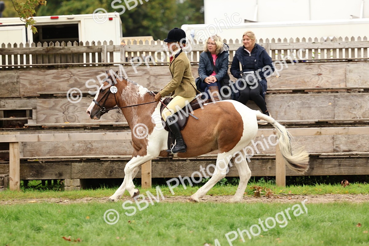 SBM_64559 - S58 - Coloured Pony Ridden