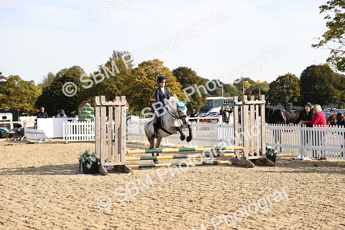 SBM_59619 - J11 - Junior Pony 50cm Championship
