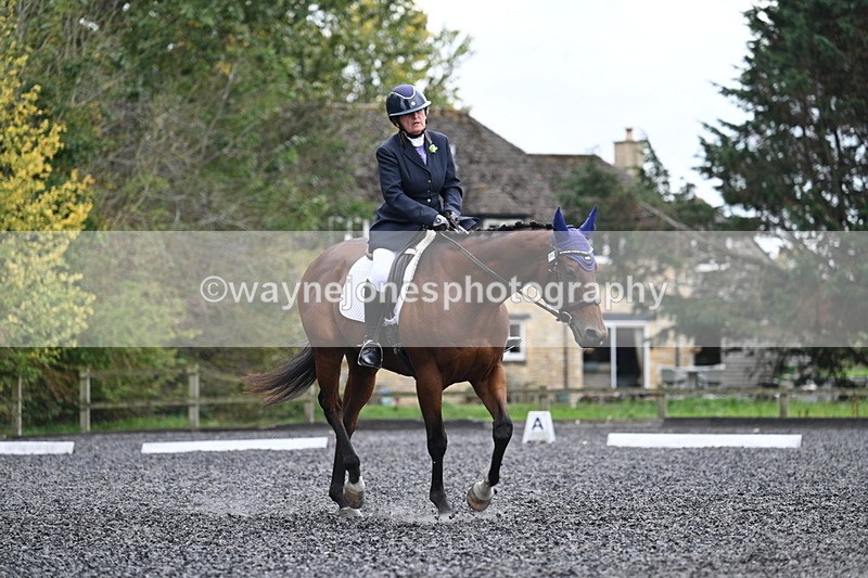 WJ7_6497 - Time 14:49 to 15:14