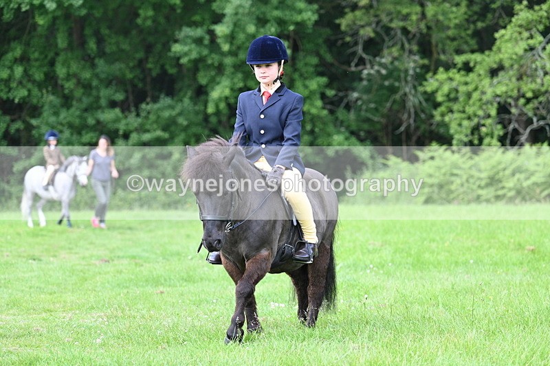 WJ7_0978 - Class 11 Condition & Turnout