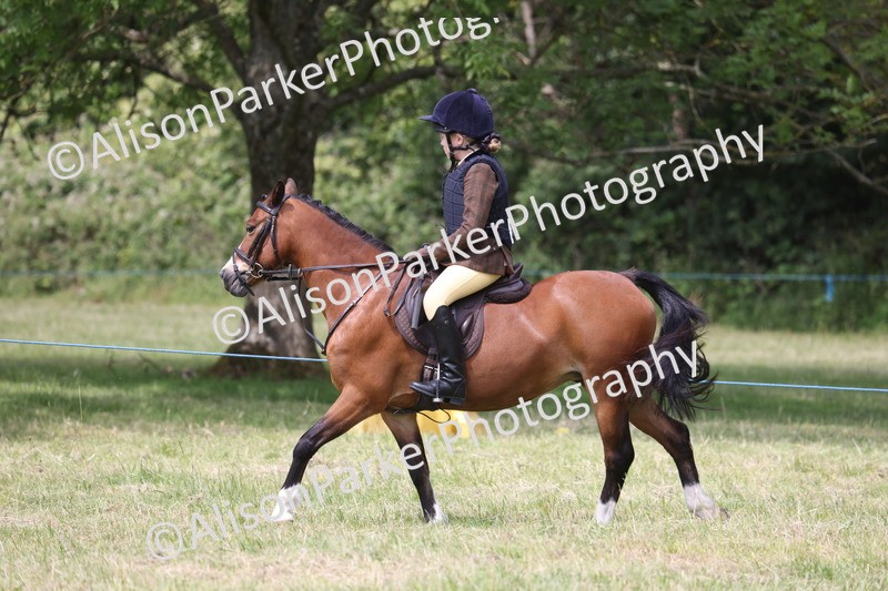 20260614-2122 - Class 21 - Novice Working Hunter Pony