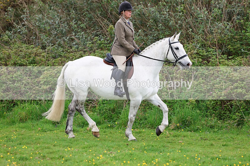 3E7A1101 - Class 7: Ridden Hunter Type