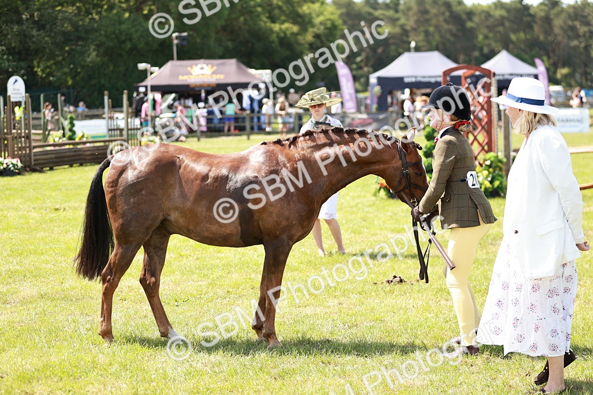 SBM_15603 - Class 108-109 - BSPS LIHS Open Gradle & Nursery Stakes