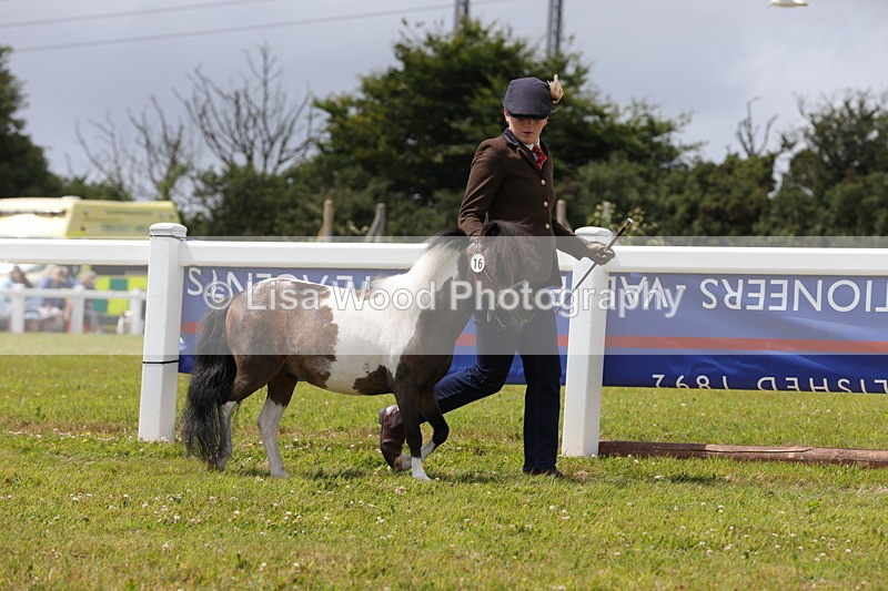1X9A4776 - Class 35: Veteran In Hand
