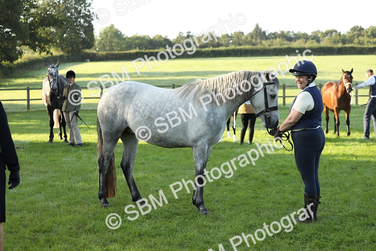 SBM_57968 - S42 - Youngstock