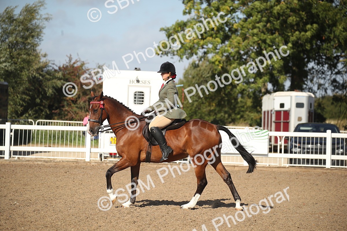 SBM_22722 - Class 601 - 2026 - Area - Ridden Diamond