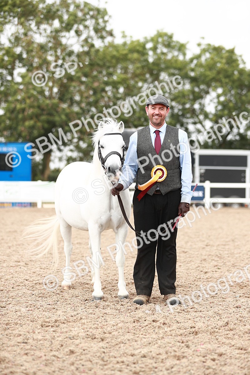 SBM_12559 - Class 207 IH M&M