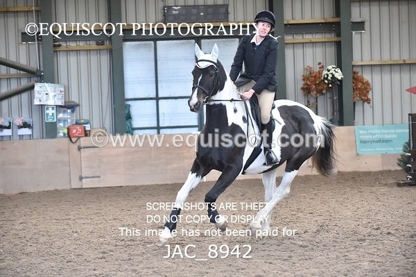 JAC_8942 - CLASS 3 ARENA EVENTING BE 70