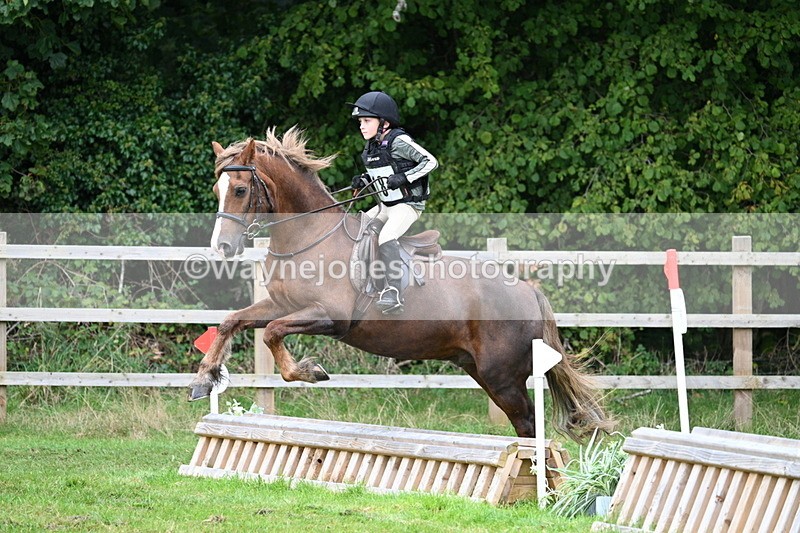 WJ7_7471 - 40cm Time 10:27 to 10:47