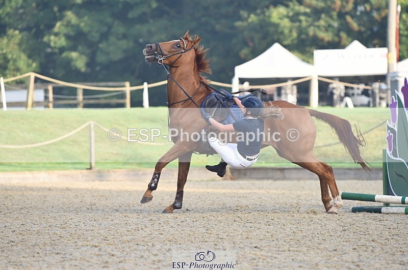 230909-081056-04095 - Cls 15 British Novice & 90cm Open