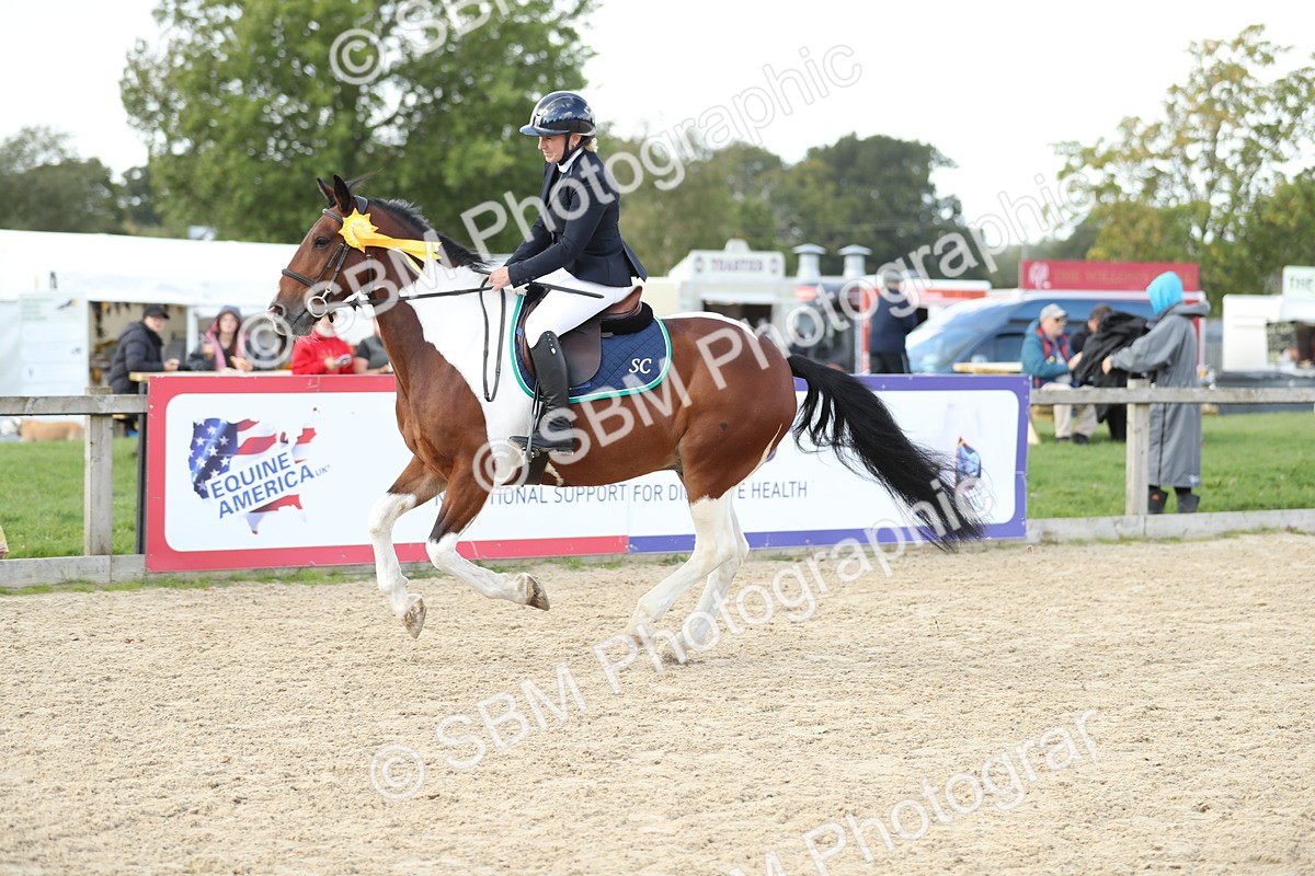 SBM_06591 - J29 - Senior Horse & Pony 65cm Championship