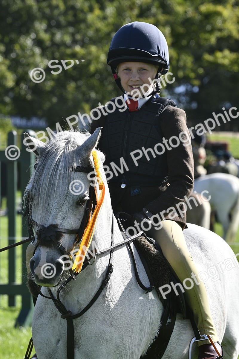 SBM_37251 - S31 - Novice & Newcomer Working Hunter Pony