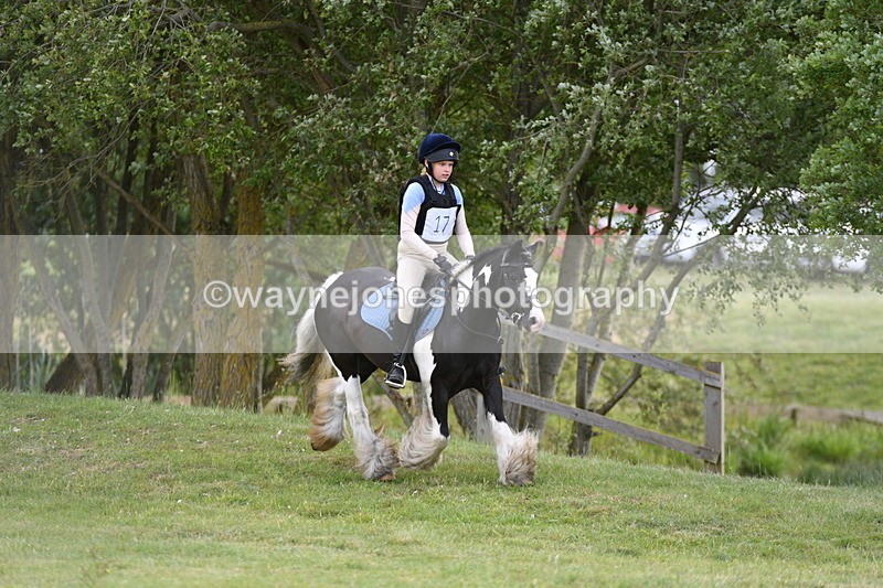 WJ5_2748 - Class 2 40cm