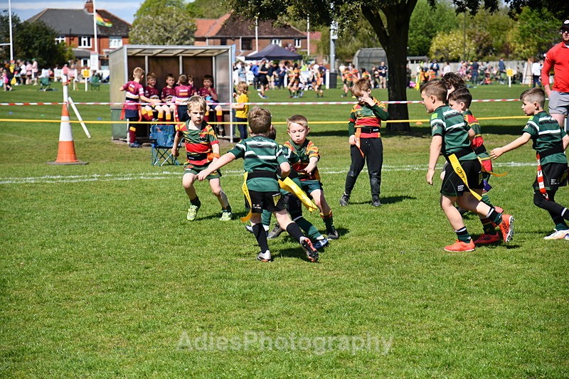  - Selby Rugby Festival 2025