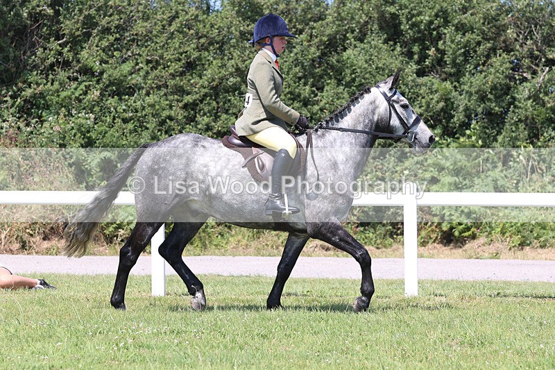 JPP_2715 - Class 21: Working Hunter 60cm
