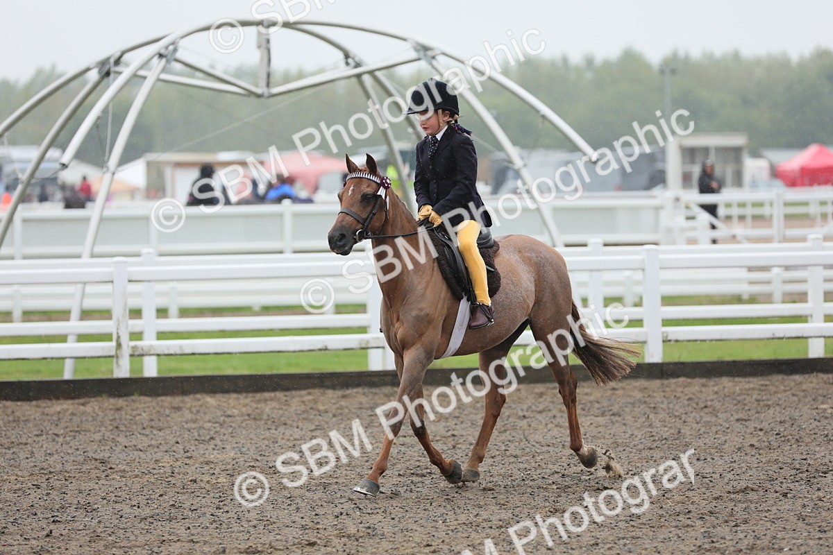SBM_20589 - Class 804 - Ridden Veteran Pony