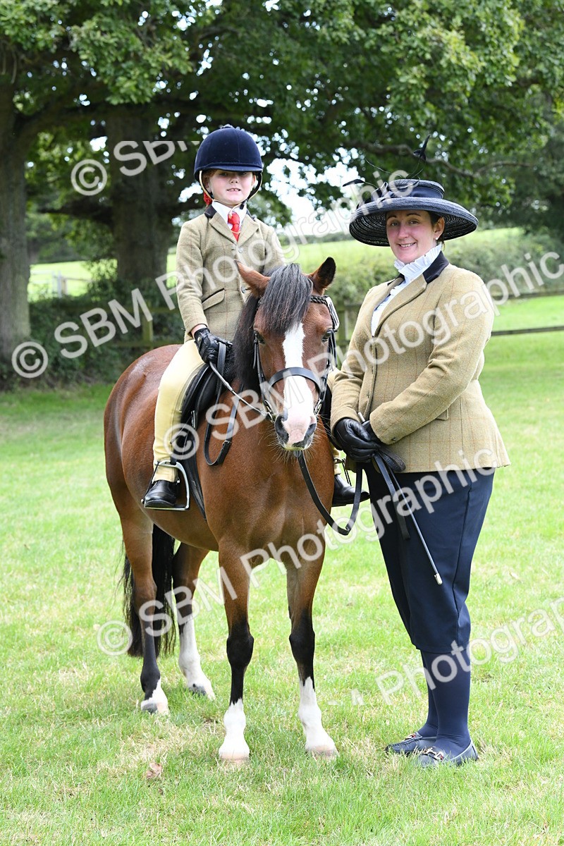SBM_42556 - S20 - Lead Rein Mountain & Moorland Pony