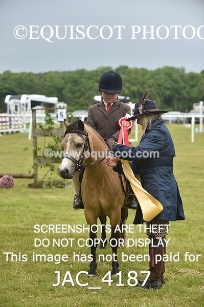 JAC_4187 - 30CM WORKING HUNTER